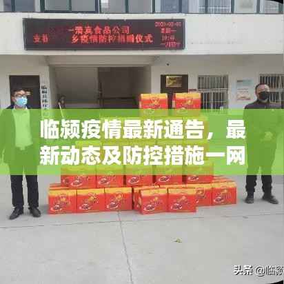 临颍疫情最新通告,最新动态及防控措施一网打尽